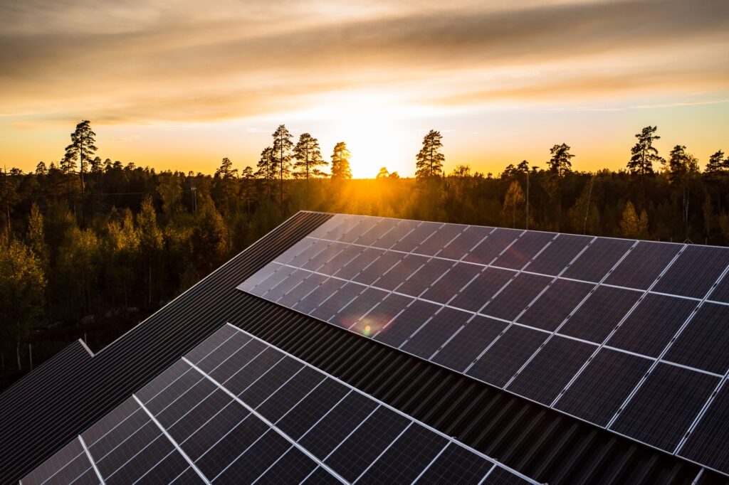 roof solar cells, sunset forest background 01